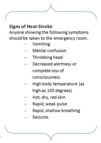 signs of heatstroke